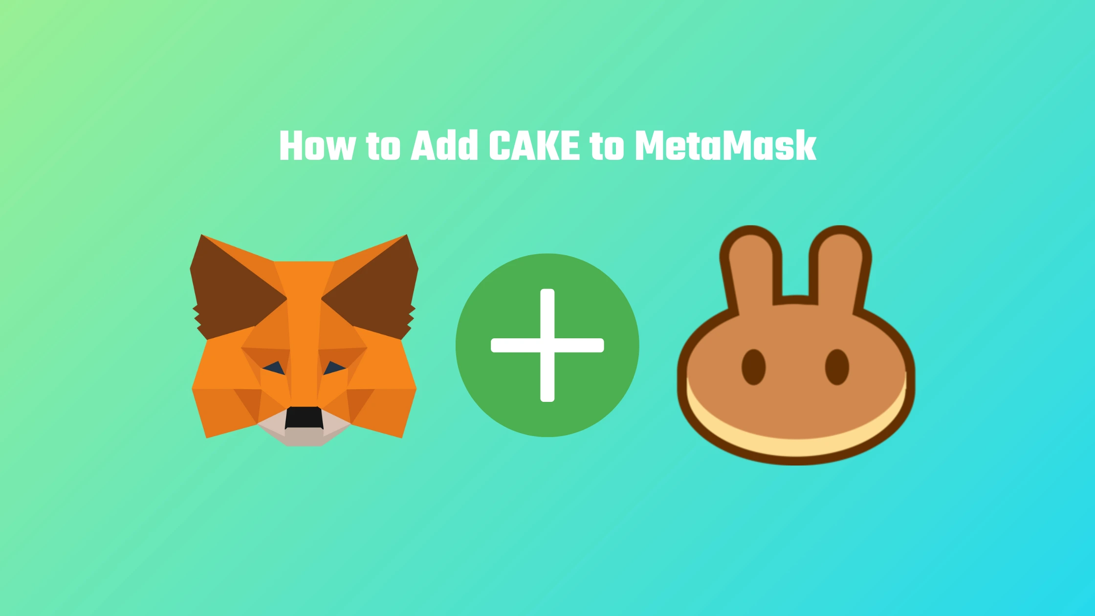 How to Add a Custom Token in Metamask on an Android